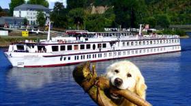 Flusskreuzfahrt mit Hund