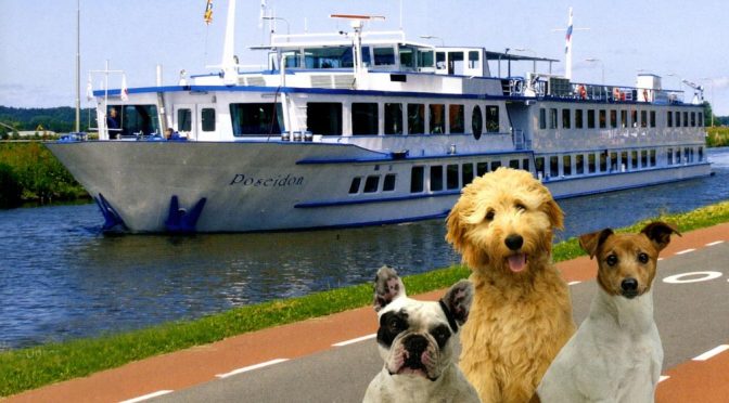 Flussreisen mit Hund 2024